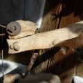 Vogel 1